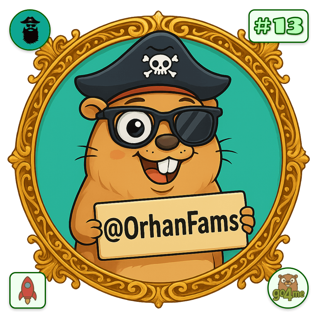 OrhanFams avatar